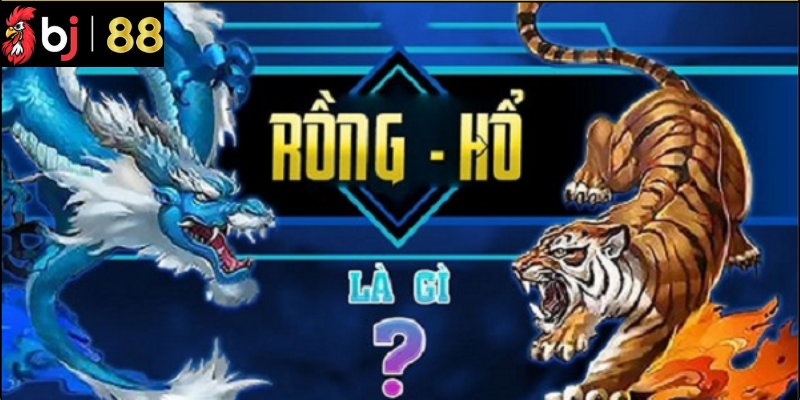 Chiến thuật chơi bài Rồng Hổ hiệu quả